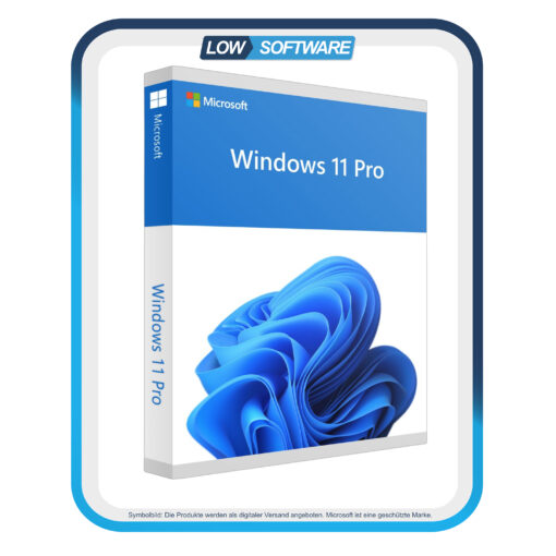 Windows 11 Professional