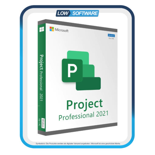 Project 2021 Professional LTSC